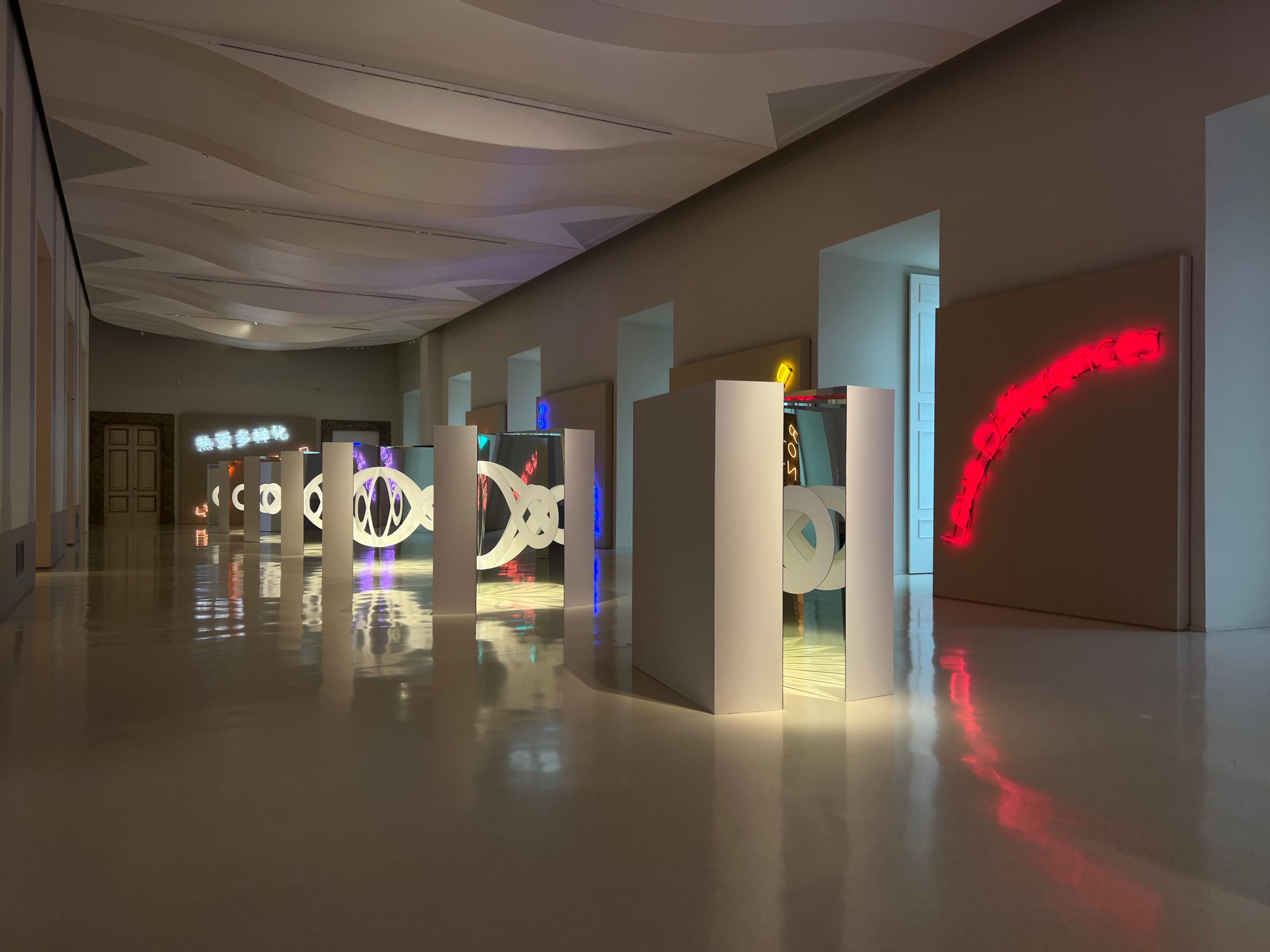 WhatsApp Image 2024-11-26 at 16.27.02